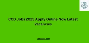 CCD Jobs 2025